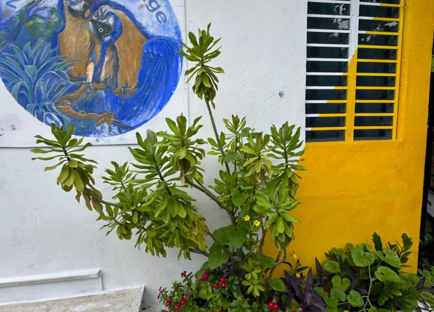 Casita Natural Village #4, #6, #7 & #8 San Juan